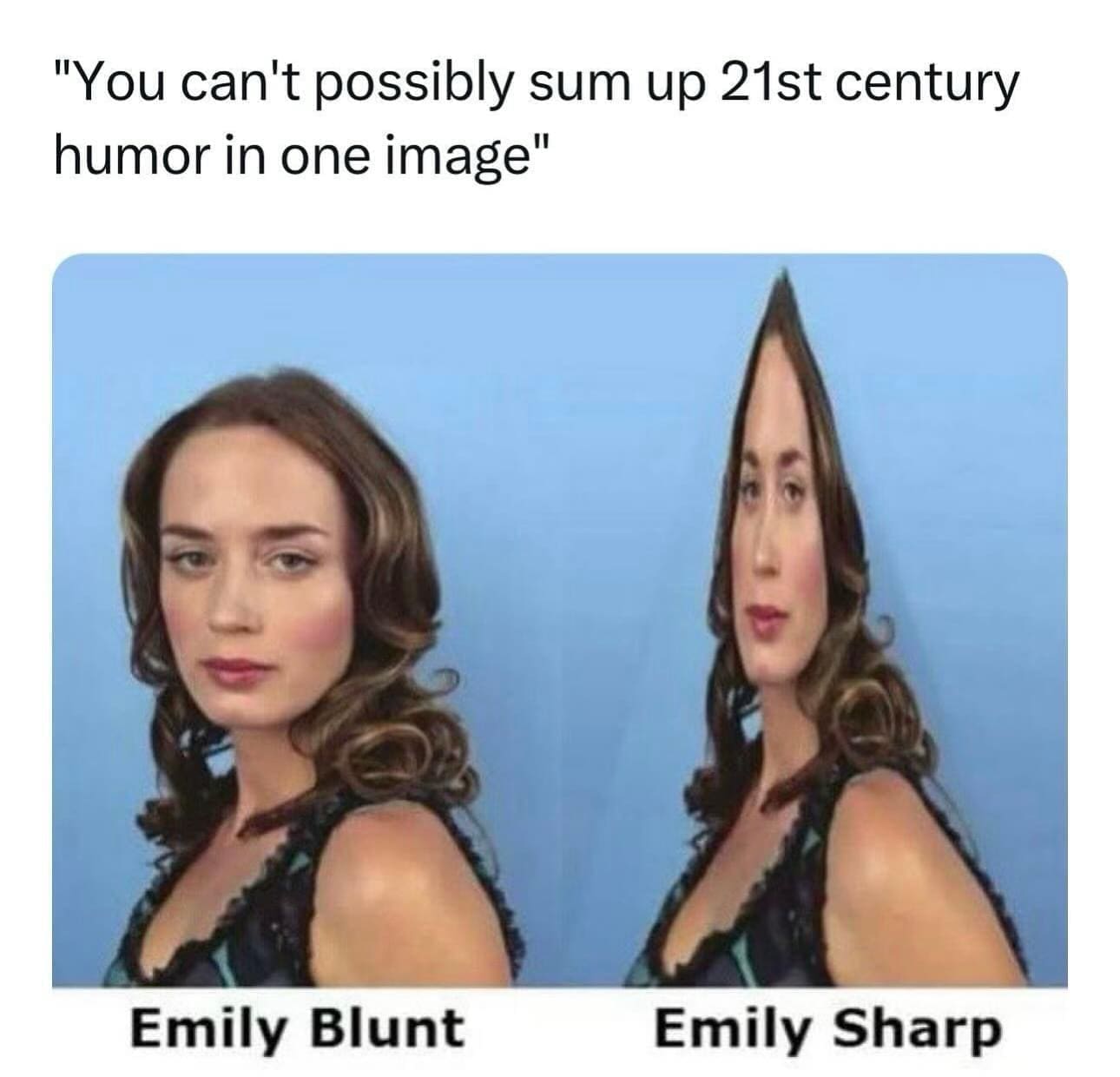 funny meme "You can't possibly sum up 21st century humor in one image" Emily Blunt Emily Sharp