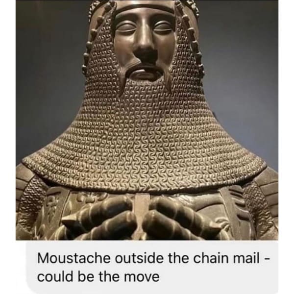funny meme Moustache outside the chain mail - could be the move