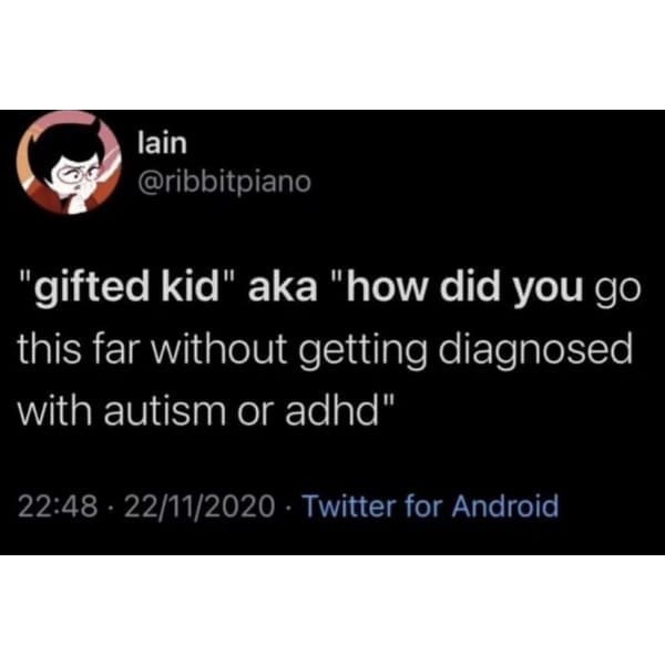funny meme "gifted kid" aka "how did you go this far without getting diagnosed with autism or adhd"