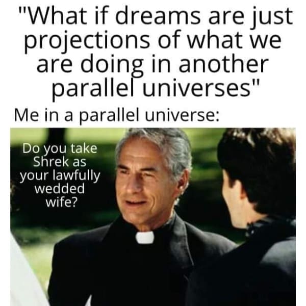 funny memes "What if dreams are just projections of what we are doing in another parallel universes" Me in a parallel universe: Do you take Shrek as your lawfully wedded wife?