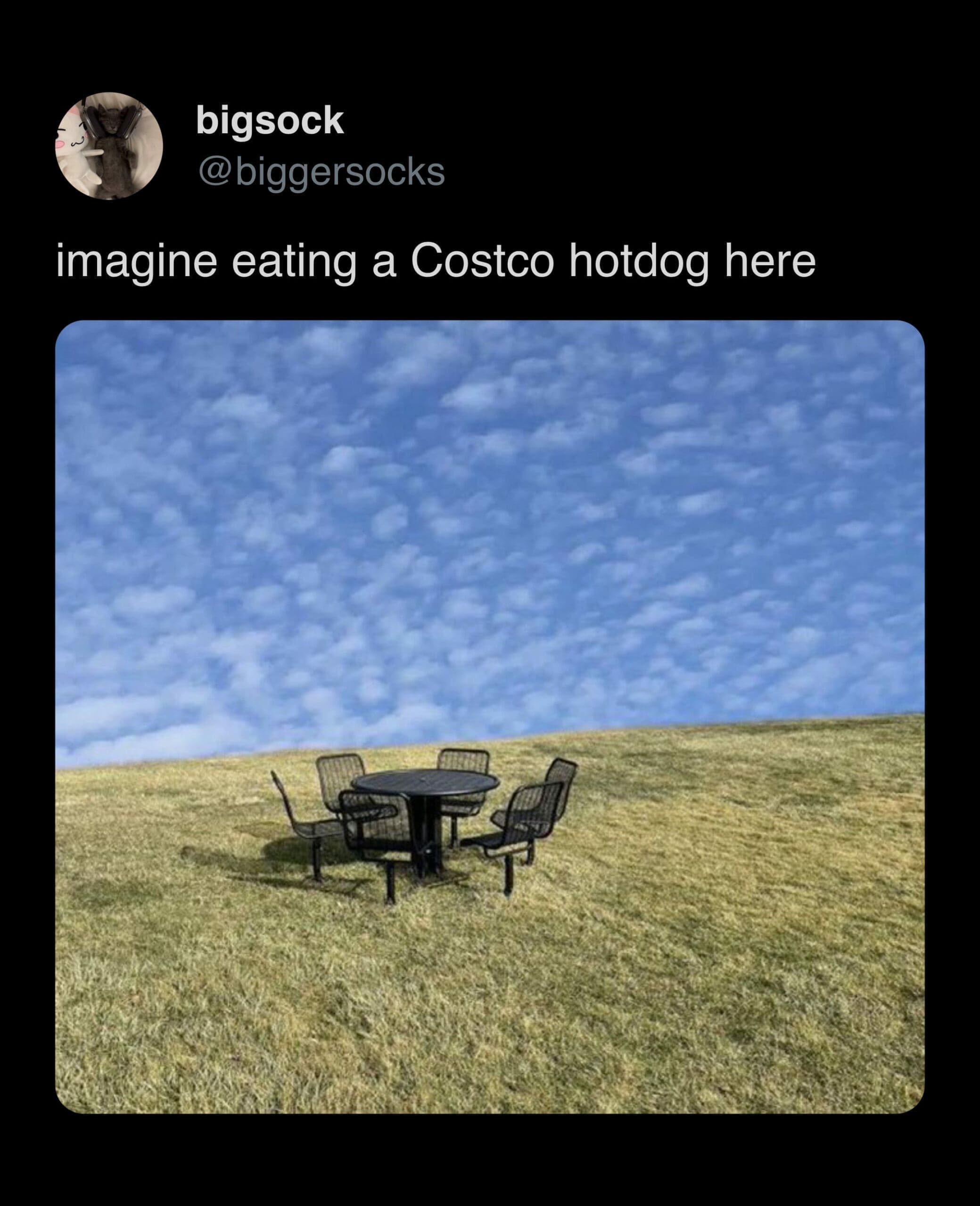 funny memes imagine eating a Costco hotdog here