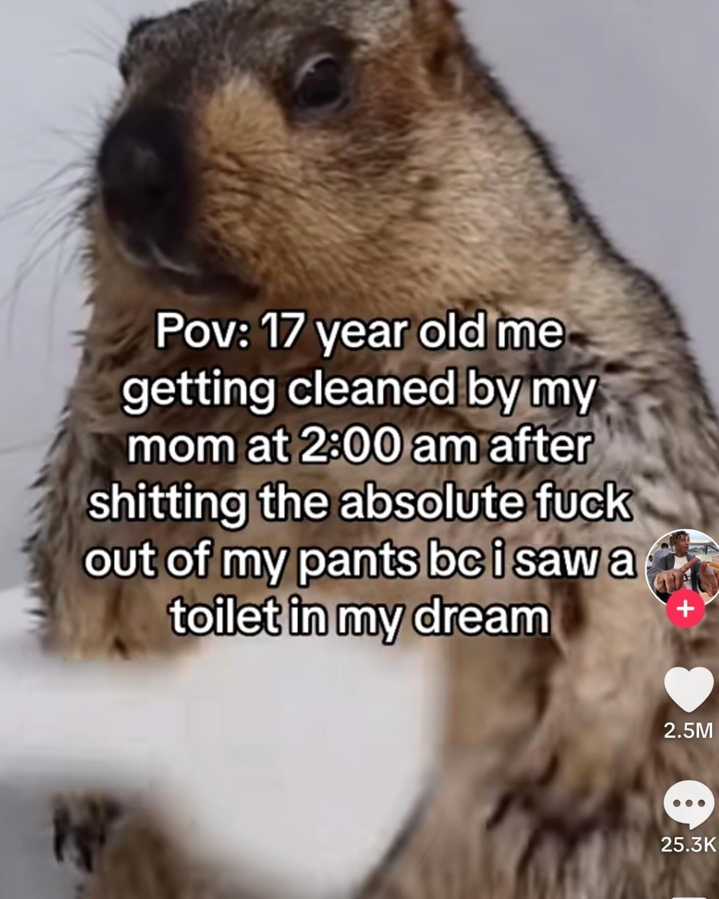 funny memes Pov: 17 year old me getting cleaned by my mom at 2:00 am after shitting the absolute fuck out of my pants be i saw a toilet in my dream