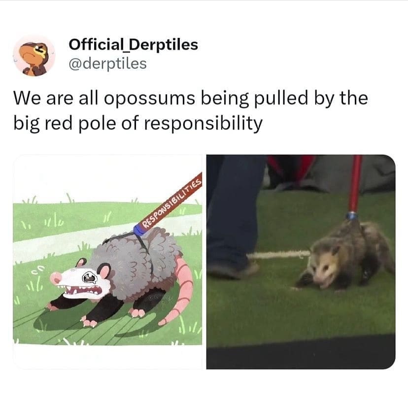funny memes We are all opossums being pulled by the big red pole of responsibility