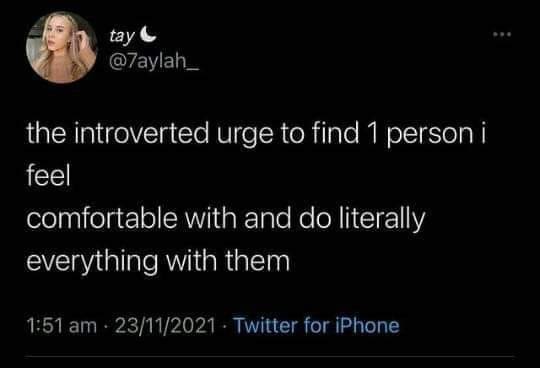 funny memes the introverted urge to find 1 person i feel comfortable with and do literally everything with them
