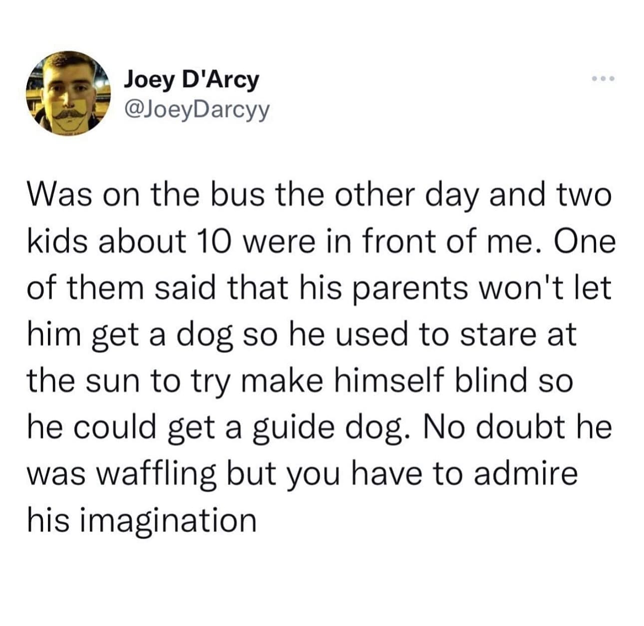 funny memes @JoeyDarcyy Was on the bus the other day and two kids about 10 were in front of me. One of them said that his parents won't let him get a dog so he used to stare at the sun to try make himself blind so he could get a guide dog. No doubt he was waffling but you have to admire his imagination