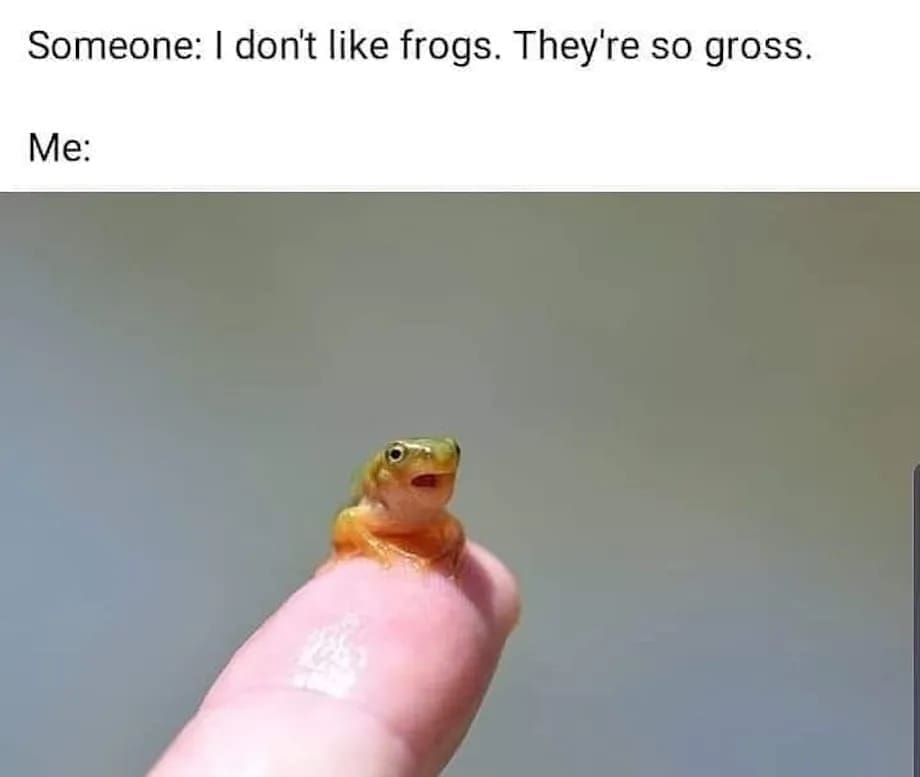 Someone: I don't like frogs. They're so gross. Me: