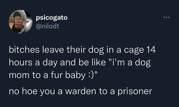 funny memes leave their dog in a cage 14 hours a day and be like "i'm a dog mom to a fur baby :)" no hoe you a warden to a prisoner
