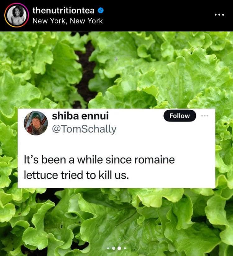 It's been a while since romaine lettuce tried to kill us.