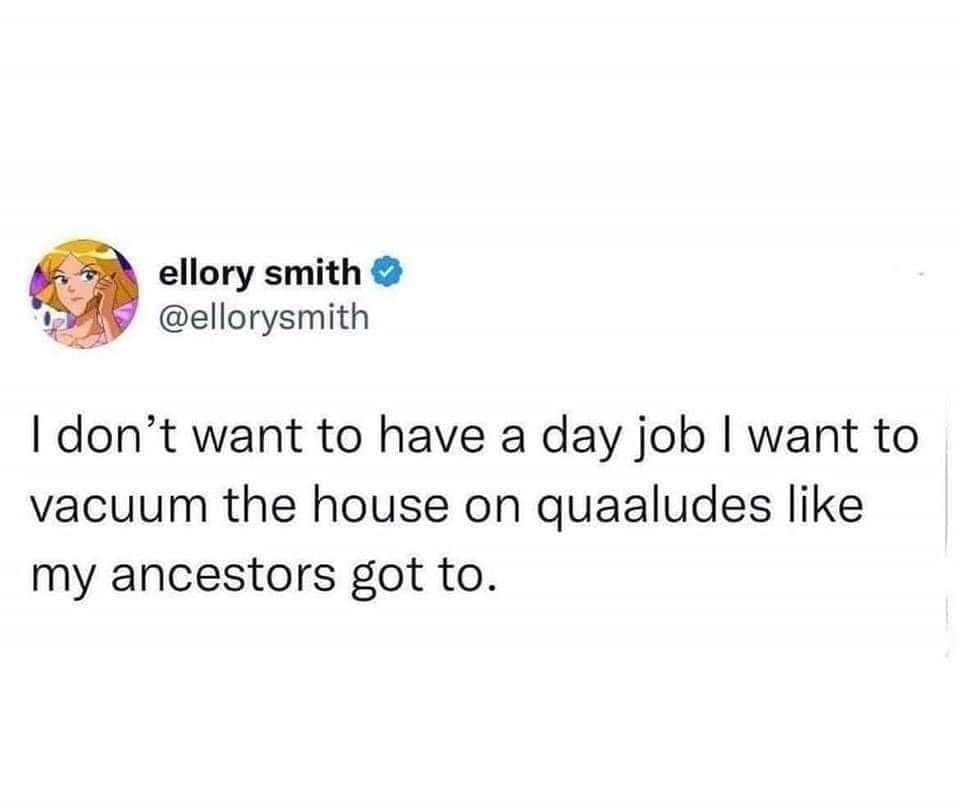 funny memes I don't want to have a day job I want to vacuum the house on quaaludes like my ancestors got to.