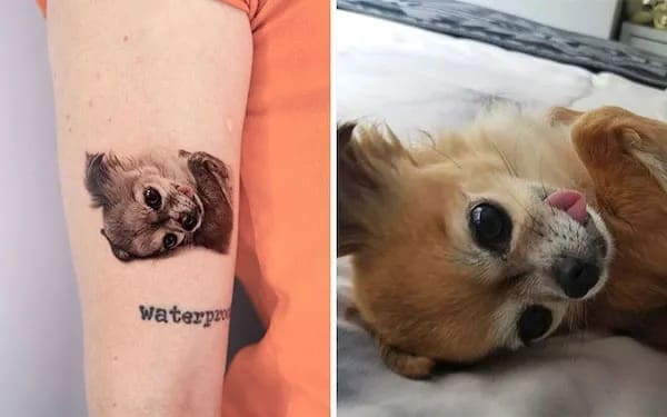 funny memes