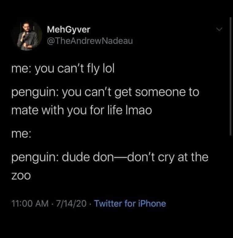 funny memes me: you can't fly lol penguin: you can't get someone to mate with you for life Imao me: penguin: dude don—don't cry at the ZOO