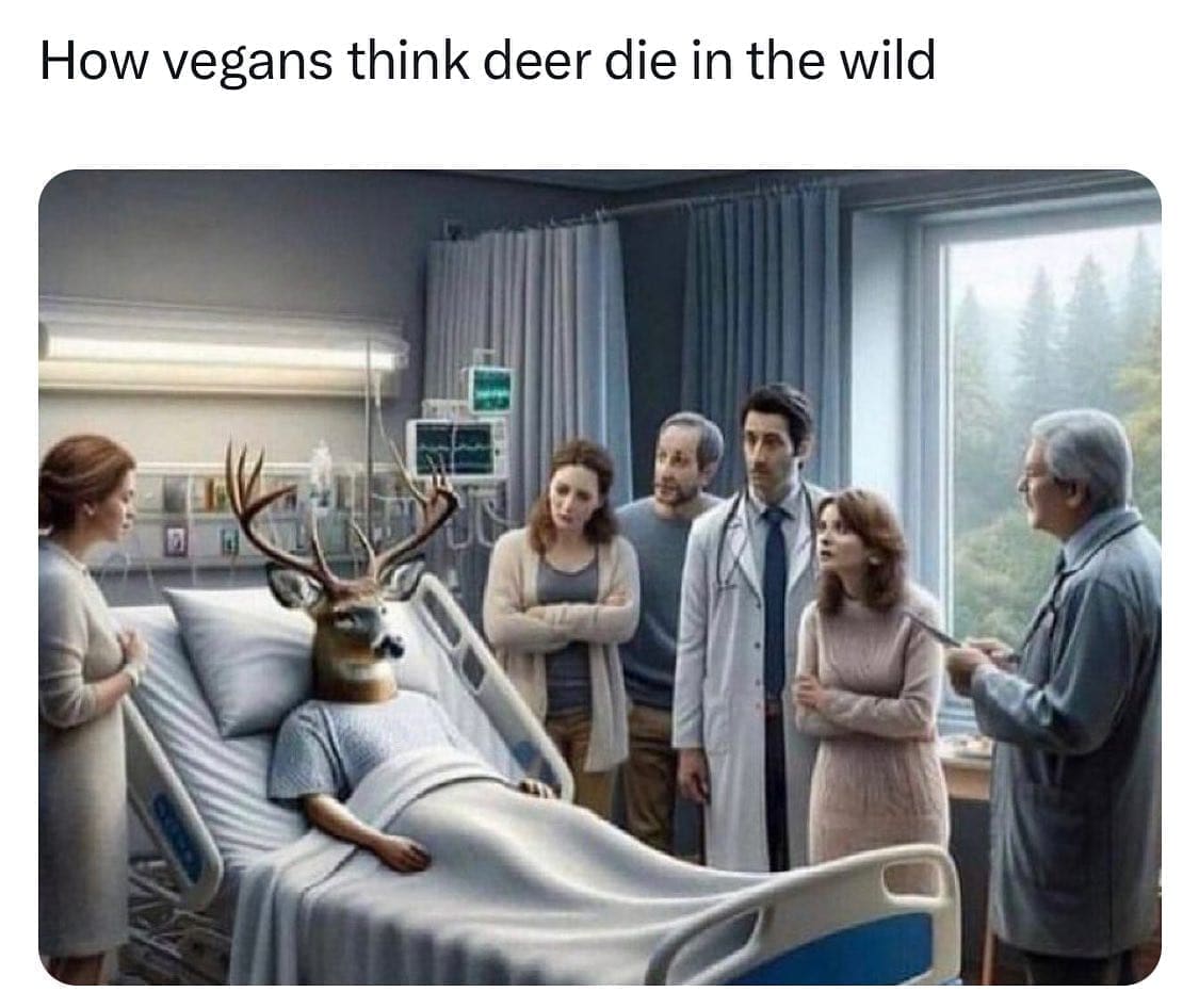 Funny memes How vegans think deer die in the wild