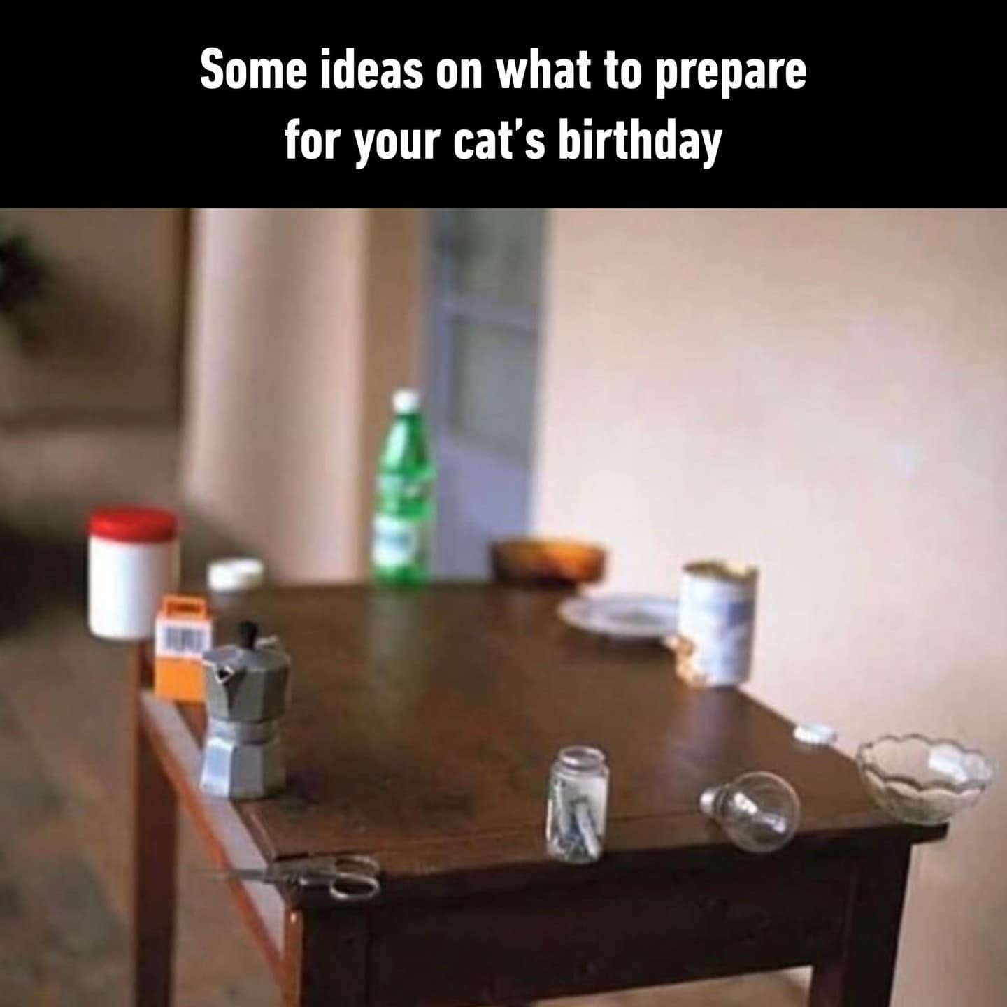 Some ideas on what to prepare for your cat's birthday