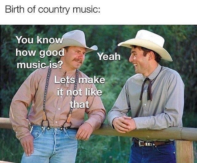 funny memes Birth of country music: You know how good music is? Lets make it not like that