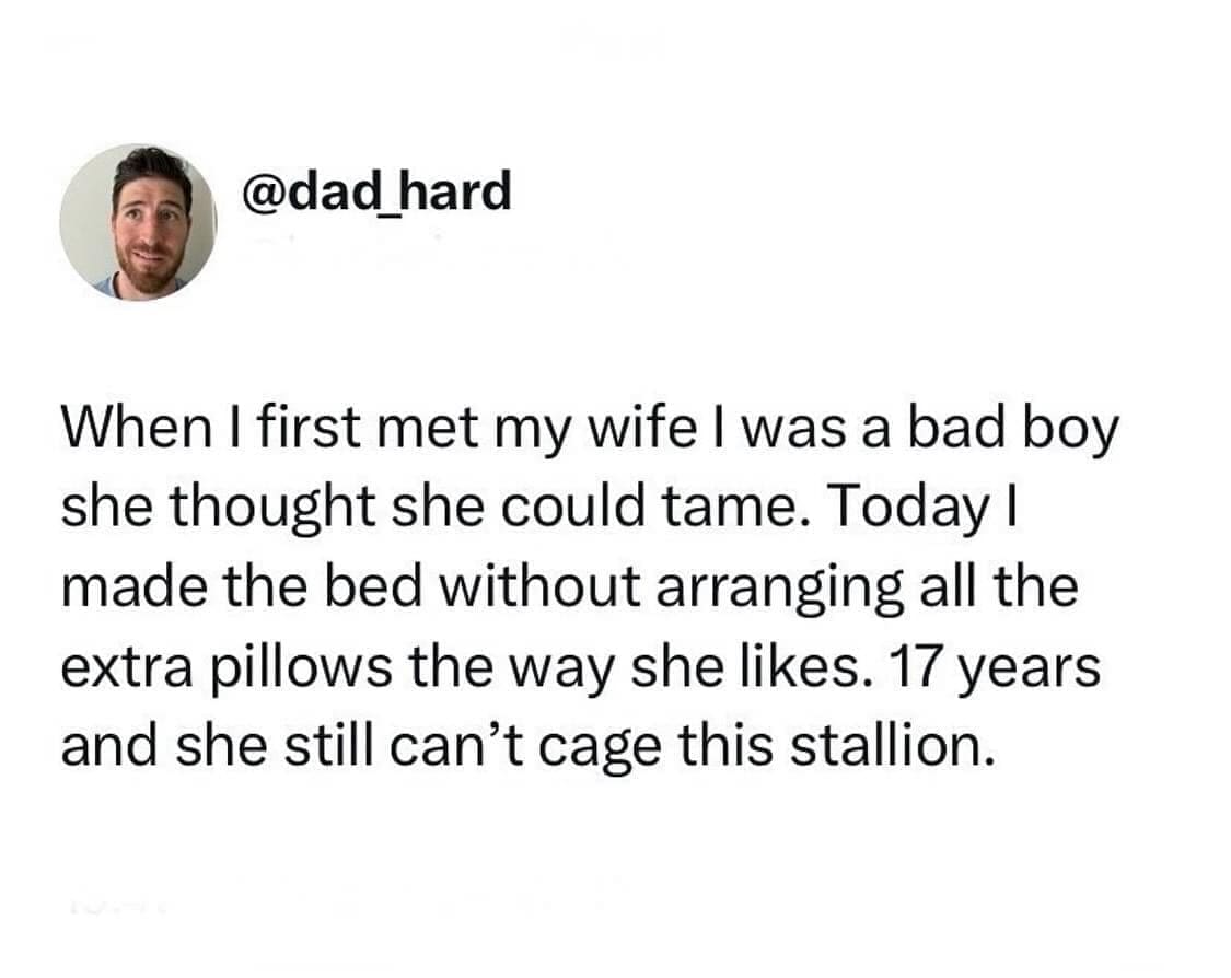 funny pics @dad hard When I first met my wife I was a bad boy she thought she could tame. Today I made the bed without arranging all the extra pillows the way she likes. 17 years and she still can't cage this stallion.