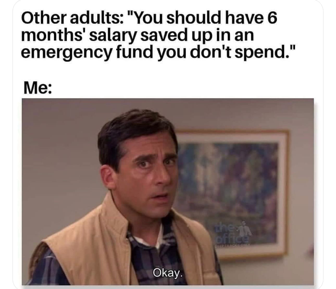 funny pics Other adults: "You should have 6 months' salary saved up in an emergency fund you don't spend." Me: