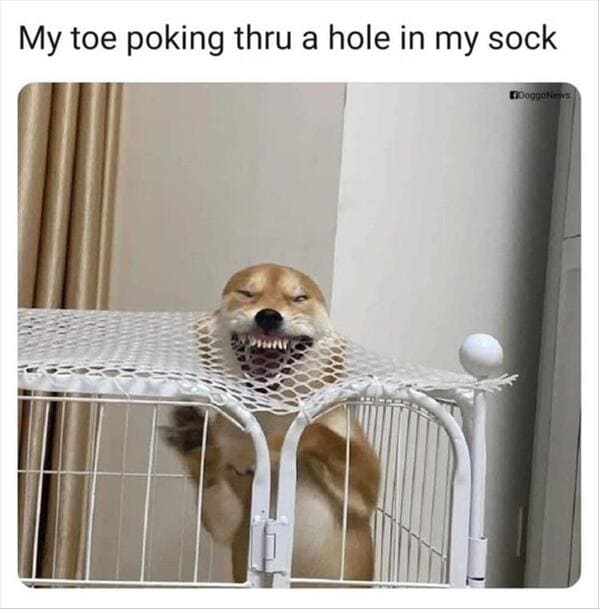 funny pics My toe poking thru a hole in my sock
