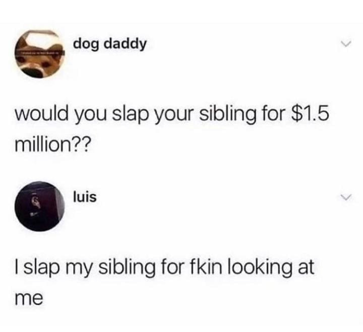 funny pics would you slap your sibling for $1.5 million??