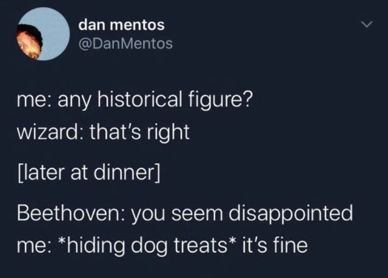 me: any historical figure? wizard: that's right [later at dinner Beethoven: you seem disappointed me: *hiding dog treats* it's fine