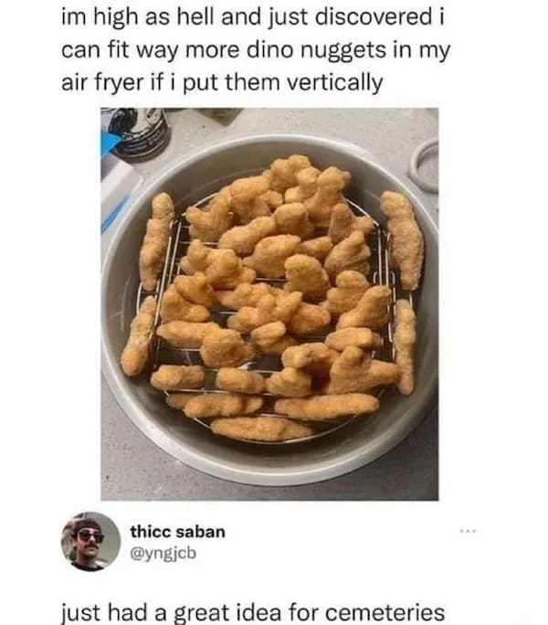 funny pics im high as hell and just discovered i can fit way more dino nuggets in my air fryer if i put them vertically