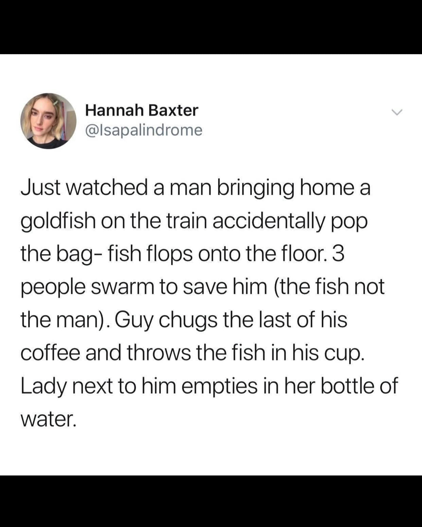 funny memes Just watched a man bringing home a goldfish on the train accidentally pop the bag- fish flops onto the floor. 3 people swarm to save him (the fish not the man). Guy chugs the last of his coffee and throws the fish in his cup. Lady next to him empties in her bottle of water.
