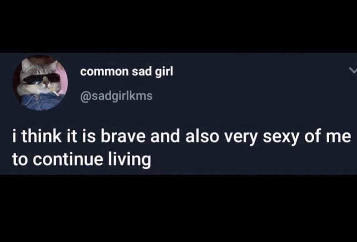 funny pics i think it is brave and also very sexy of me to continue living