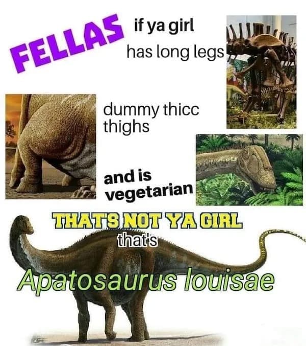 funny pics FELLAS if ya girl has long legs dummy thicc thighs and is vegetarian THATS NOT YAGIRL that's Apatosaurus louisae
