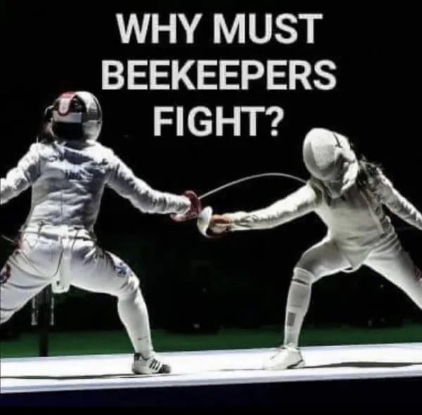 funny pics WHY MUST BEEKEEPERS FIGHT?