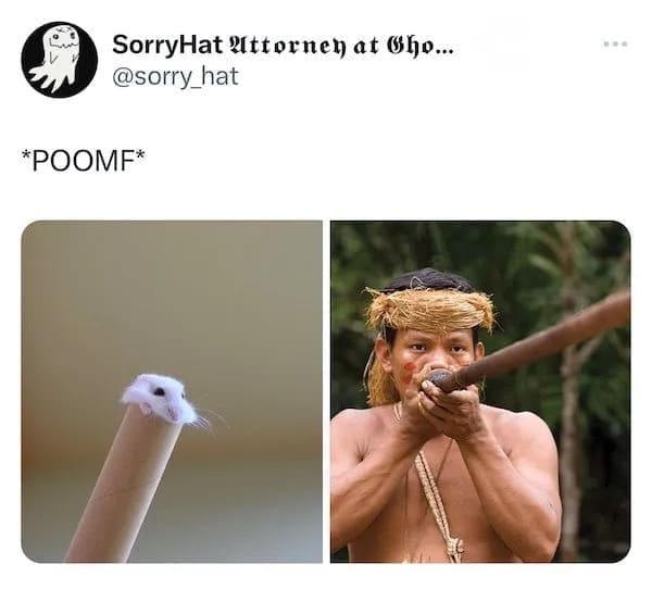 funny pics hamster blow pipe