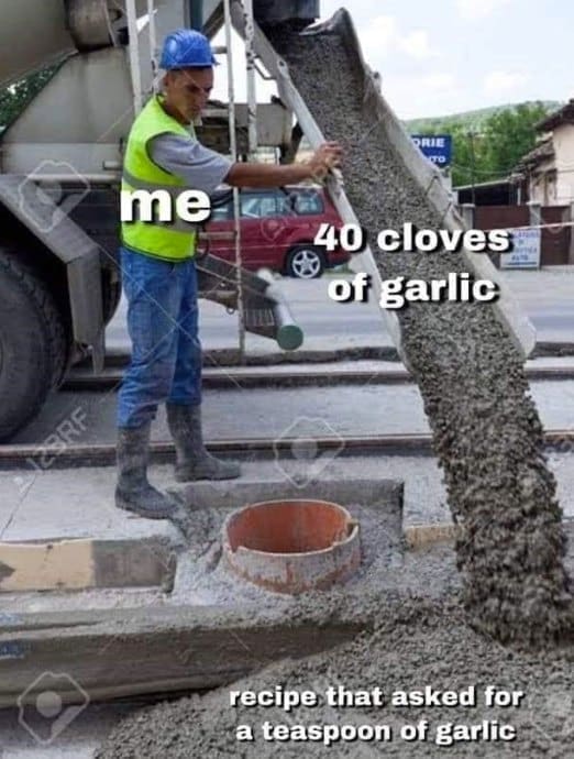 me 40 cloves of garlic recipe that asked for a teaspoon of garlic