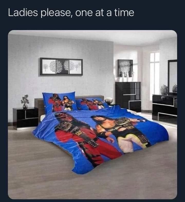 funny pics Ladies please, one at a time wrestling bed covers