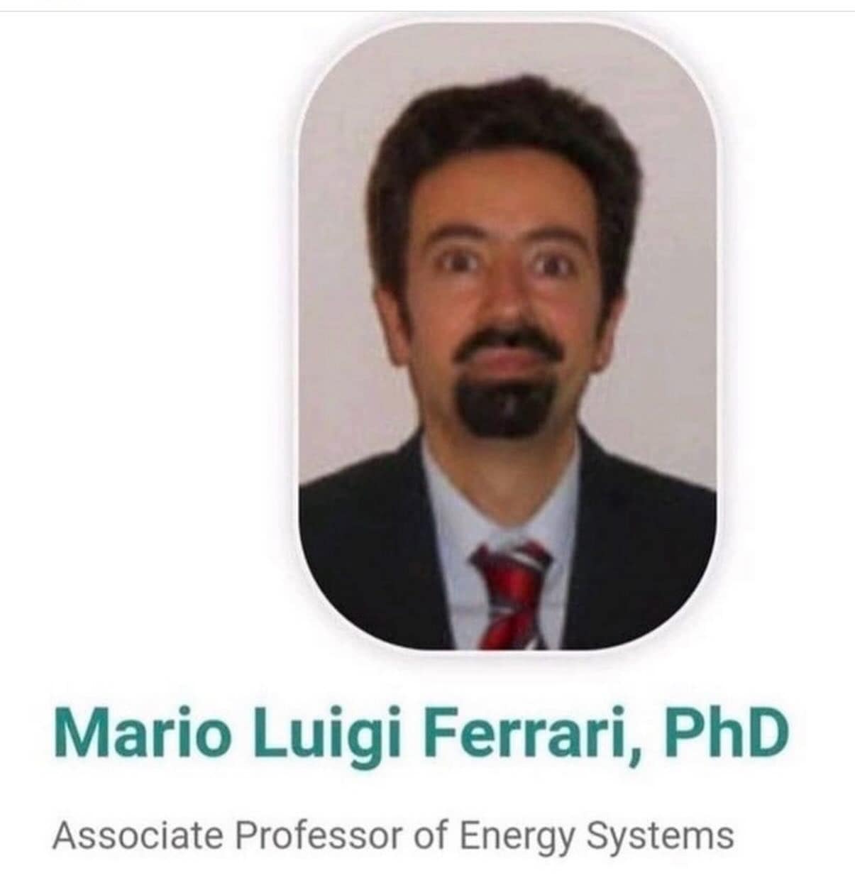 Mario Luigi Ferrari, PhD Associate Professor of Energy Systems