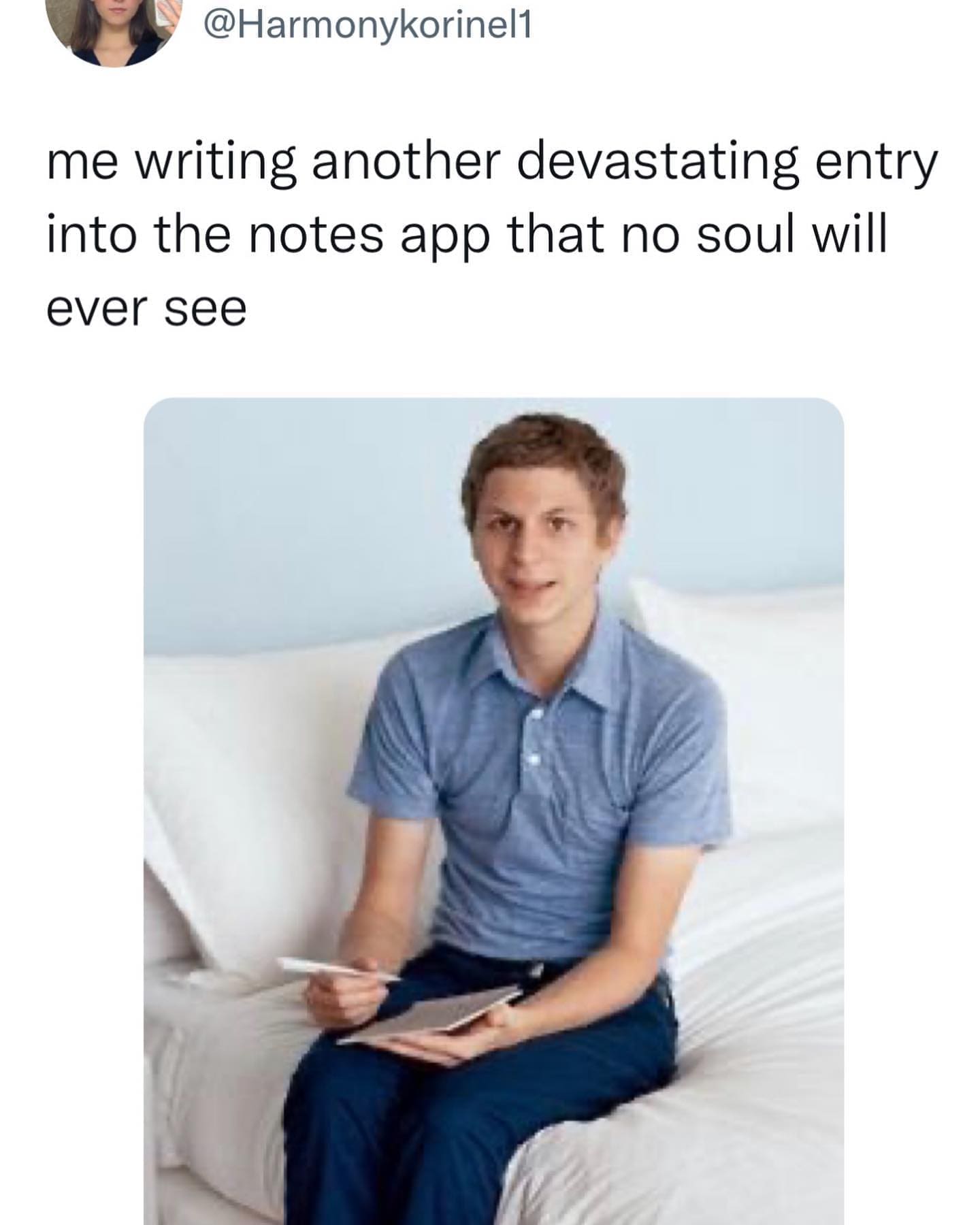 funny pics me writing another devastating entry into the notes app that no soul will ever see