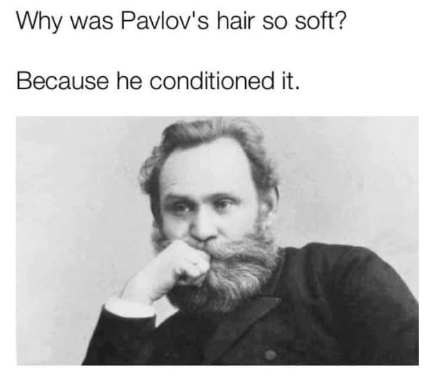 funny puns, punny memes