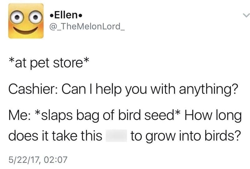 funny puns, punny memes