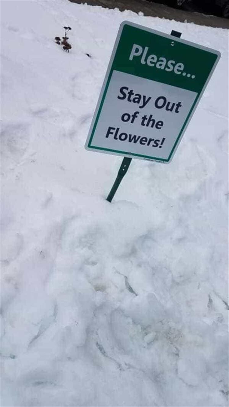 funny signs Stay Out of the Flowers!