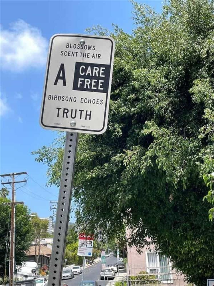 funny signs BLOSSOMS SCENT THE AIR CARE FREE BIRDSONG ECHOES TRUTH