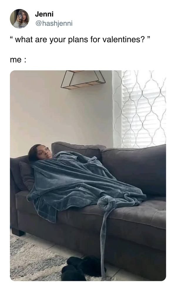 Valentine Memes " what are your plans for valentines?" me :