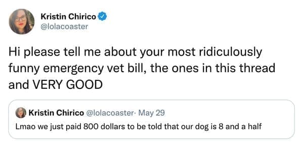 Hi please tell me about your most ridiculously funny emergency vet bill, the ones in this thread and VERY GOOD