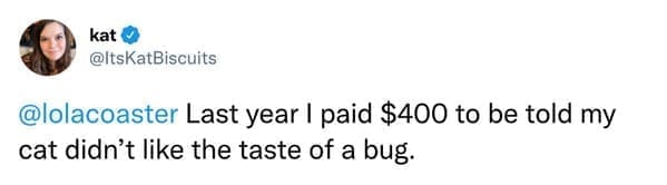 Last year I paid $400 to be told my cat didn't like the taste of a bug.
