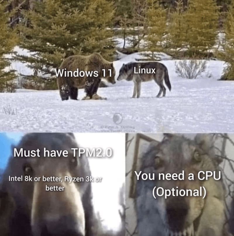 gamer memes, gaming humor, gaming memes, joystick jests, virtual chuckles, video game jokes, gamer laughs