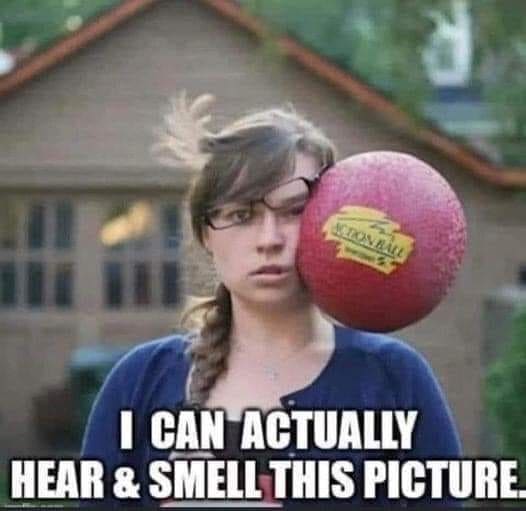 Gen X Memes I CAN ACTUALLY HEAR & SMELL THIS PICTURE
