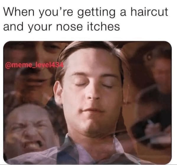 Haircut Memes When you're getting a haircut and your nose itches