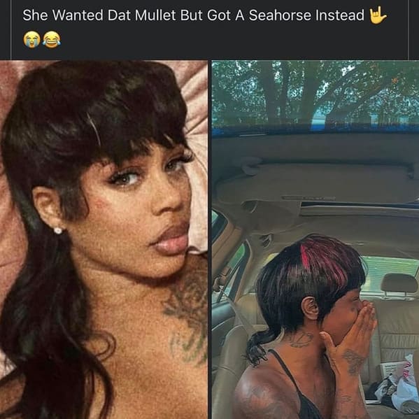 Haircut Memes She Wanted Dat Mullet But Got A Seahorse Instead