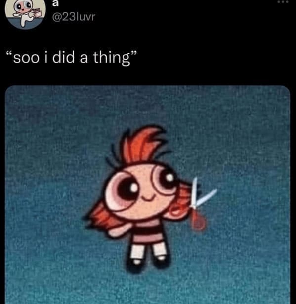 Haircut Memes "soo i did a thing"