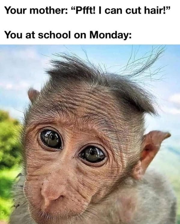 Haircut Memes Your mother: "Pfft! I can cut hair!" You at school on Monday: