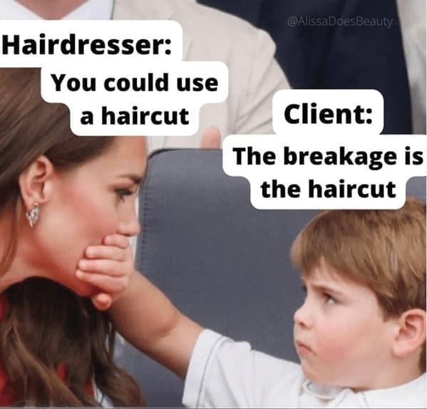 Haircut Memes Hairdresser: You could use a haircut @AlissaDoesBeauty Client: The breakage is the haircut