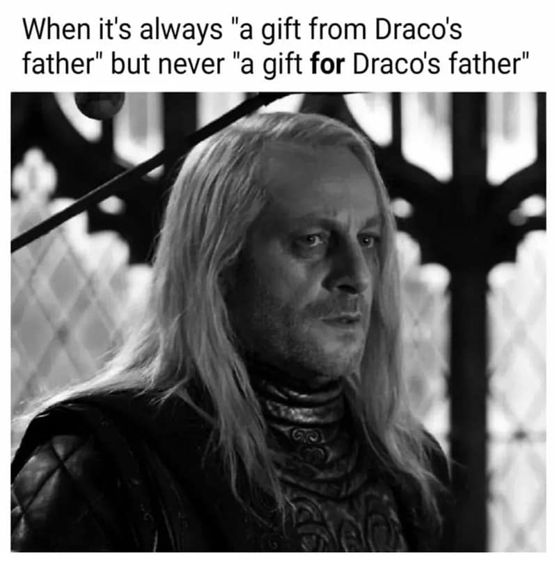 Harry Potter memes, Hogwarts humor, izarding wit, magical laughter, Potterverse memes, wizarding world jokes, sorcery satire