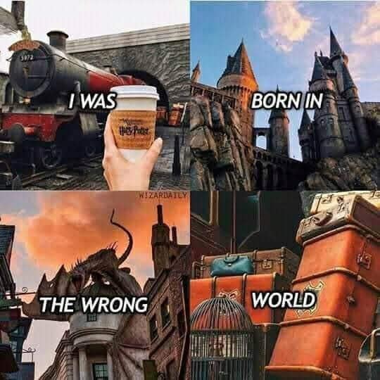 harry potter memes, hogwarts memes