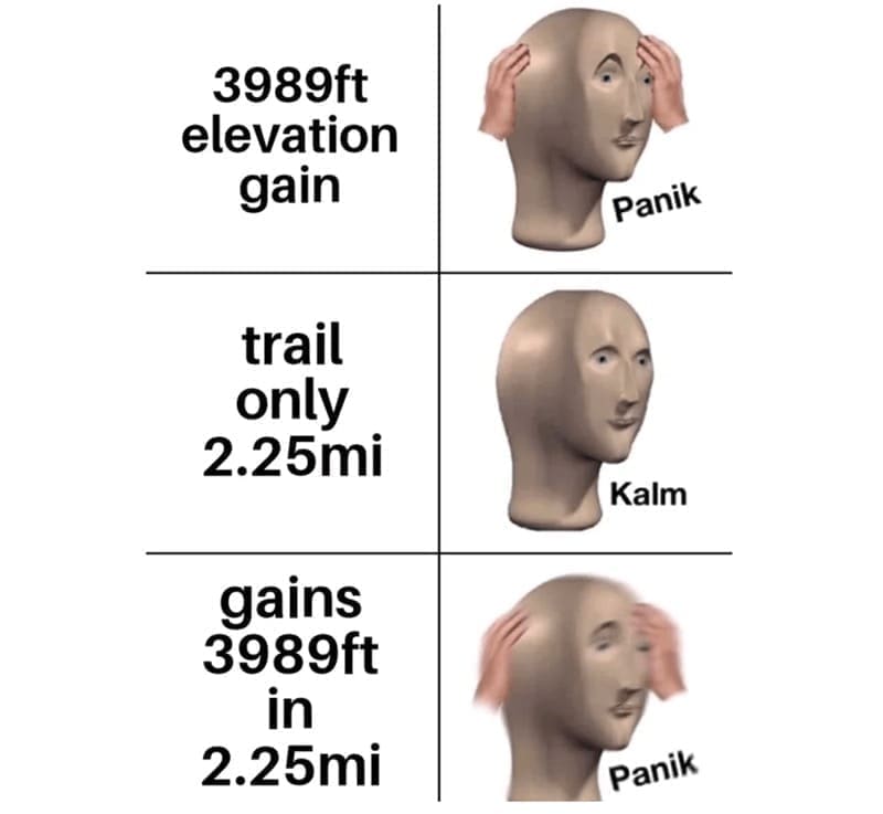 Hiking Memes 3989ft elevation gain trail only 2.25mi gains 3989ft in 2.25mi